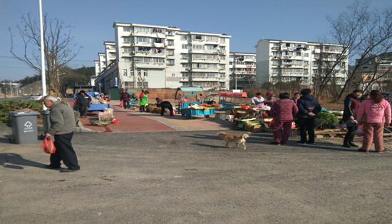 雙創(chuàng)雙修、美化環(huán)境