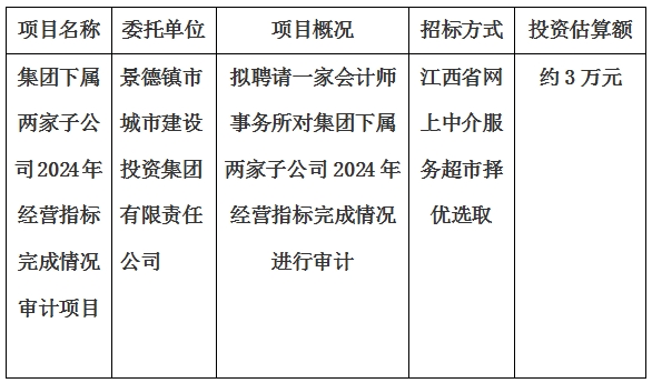 集團下屬兩家子公司2024年經(jīng)營指標完成情況審計項目計劃公告