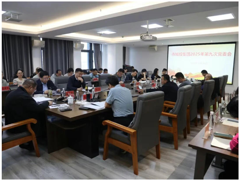 市城投集團(tuán)召開黨委會(huì)傳達(dá)學(xué)習(xí)貫徹黨的二十屆四中全會(huì)精神